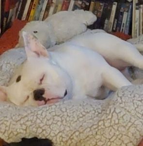 Meet your Posher, Anthony